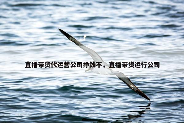 直播带货代运营公司挣钱不，直播带货运行公司