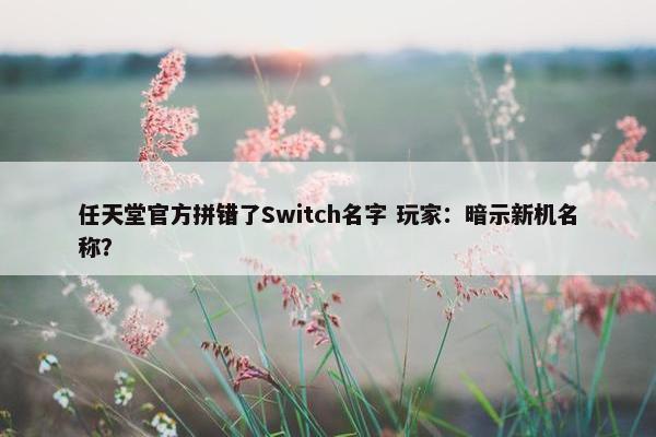 任天堂官方拼错了Switch名字 玩家：暗示新机名称？