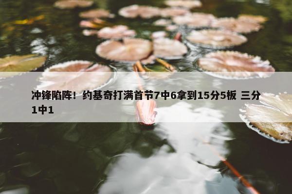 冲锋陷阵！约基奇打满首节7中6拿到15分5板 三分1中1