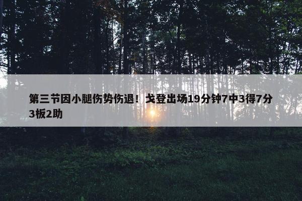 第三节因小腿伤势伤退！戈登出场19分钟7中3得7分3板2助