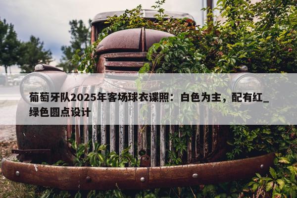 葡萄牙队2025年客场球衣谍照：白色为主，配有红_绿色圆点设计