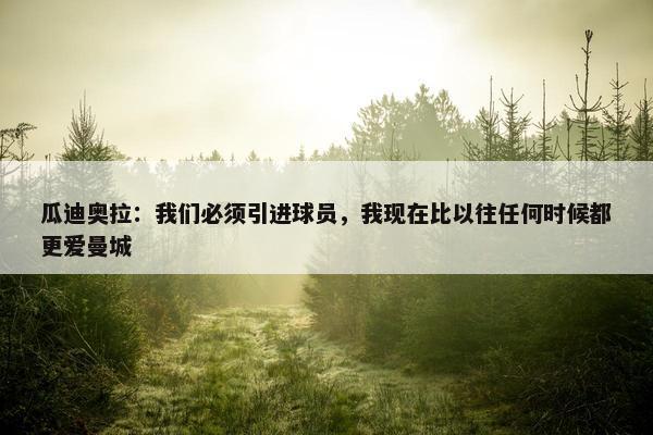 瓜迪奥拉：我们必须引进球员，我现在比以往任何时候都更爱曼城