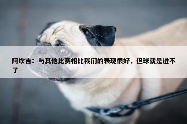 阿坎吉：与其他比赛相比我们的表现很好，但球就是进不了