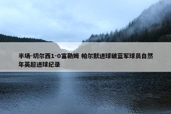 半场-切尔西1-0富勒姆 帕尔默进球破蓝军球员自然年英超进球纪录