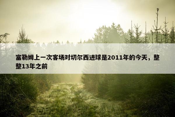 富勒姆上一次客场对切尔西进球是2011年的今天，整整13年之前