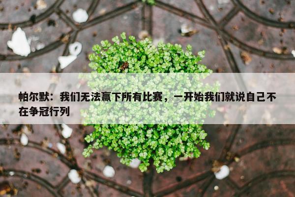 帕尔默：我们无法赢下所有比赛，一开始我们就说自己不在争冠行列