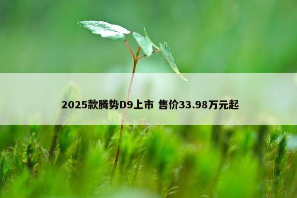  2025款腾势D9上市 售价33.98万元起