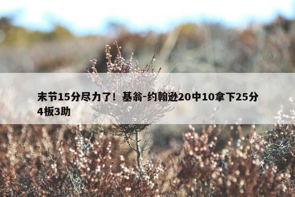 末节15分尽力了！基翁-约翰逊20中10拿下25分4板3助