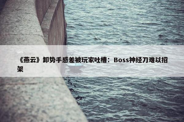 《燕云》卸势手感差被玩家吐槽：Boss神经刀难以招架