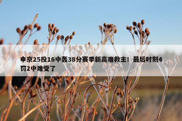 申京25投16中轰38分赛季新高难救主！最后时刻4罚2中难受了