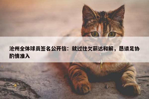 沧州全体球员签名公开信：就过往欠薪达和解，恳请足协酌情准入