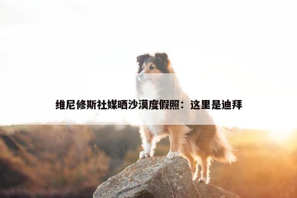 维尼修斯社媒晒沙漠度假照：这里是迪拜