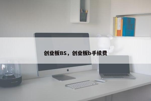 创业板BS，创业板b手续费