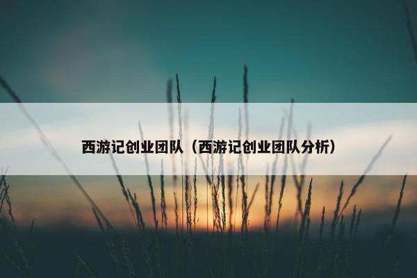 西游记创业团队（西游记创业团队分析）