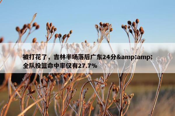 被打花了，吉林半场落后广东24分&amp;全队投篮命中率仅有27.7%