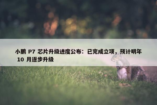 小鹏 P7 芯片升级进度公布：已完成立项，预计明年 10 月逐步升级