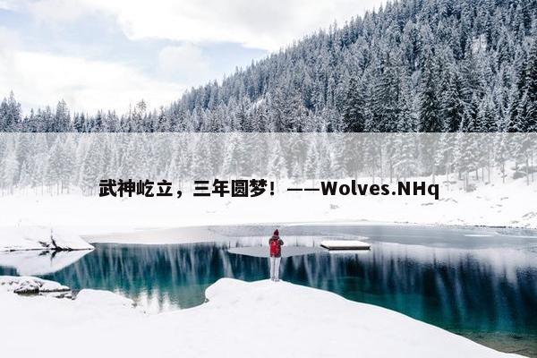 武神屹立，三年圆梦！——Wolves.NHq