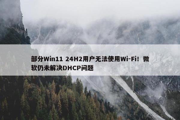 部分Win11 24H2用户无法使用Wi-Fi！微软仍未解决DHCP问题