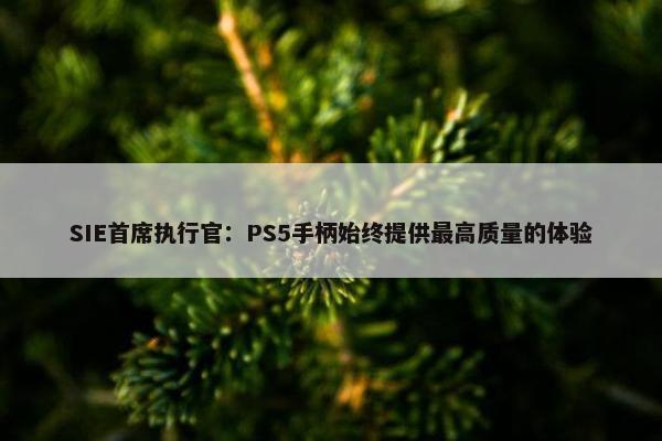 SIE首席执行官：PS5手柄始终提供最高质量的体验