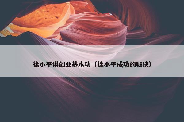 徐小平讲创业基本功（徐小平成功的秘诀）