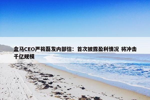 盒马CEO严筱磊发内部信：首次披露盈利情况 将冲击千亿规模