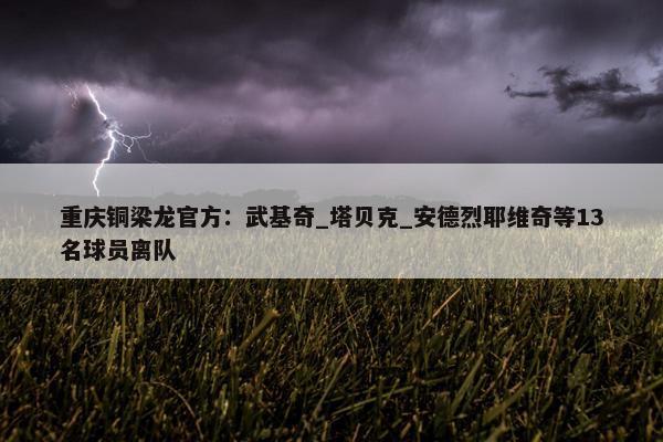 重庆铜梁龙官方：武基奇_塔贝克_安德烈耶维奇等13名球员离队