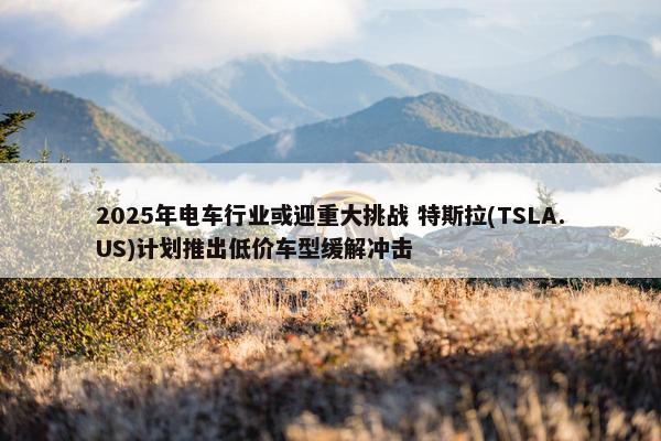 2025年电车行业或迎重大挑战 特斯拉(TSLA.US)计划推出低价车型缓解冲击