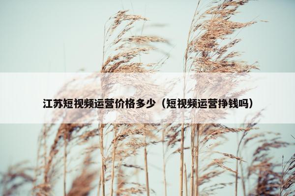 江苏短视频运营价格多少（短视频运营挣钱吗）