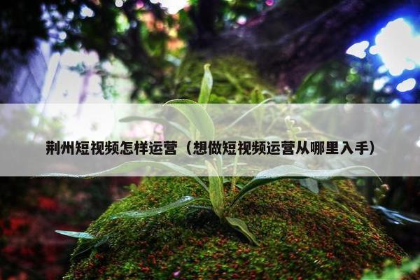 荆州短视频怎样运营（想做短视频运营从哪里入手）