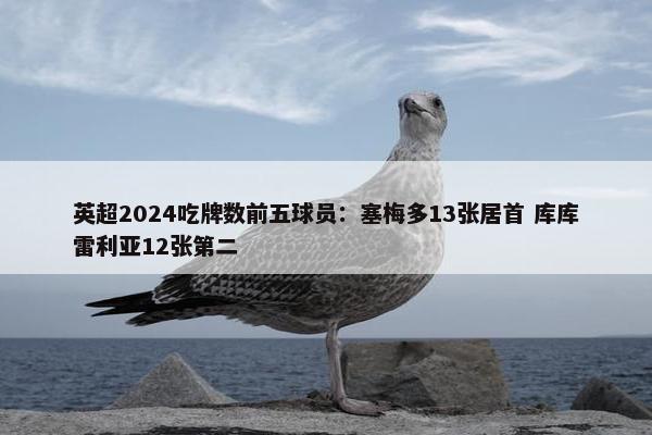 英超2024吃牌数前五球员：塞梅多13张居首 库库雷利亚12张第二