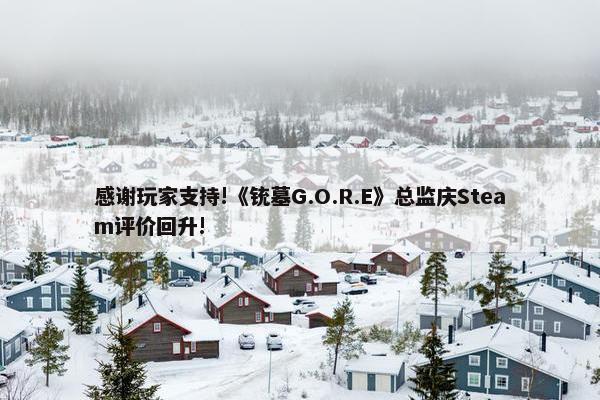 感谢玩家支持!《铳墓G.O.R.E》总监庆Steam评价回升!