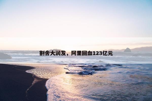 割舍大润发，阿里回血123亿元