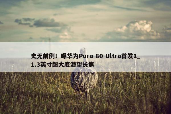 史无前例！曝华为Pura 80 Ultra首发1_1.3英寸超大底潜望长焦