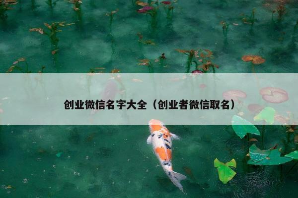 创业微信名字大全（创业者微信取名）