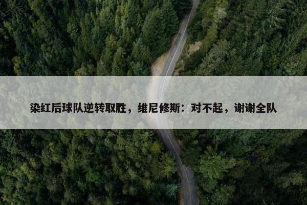 染红后球队逆转取胜，维尼修斯：对不起，谢谢全队