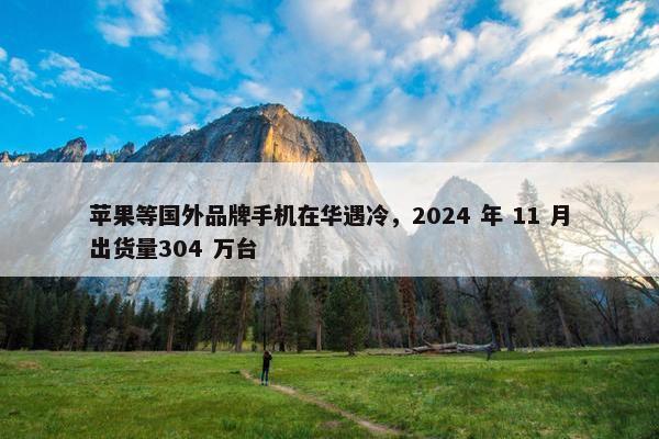 苹果等国外品牌手机在华遇冷，2024 年 11 月出货量304 万台