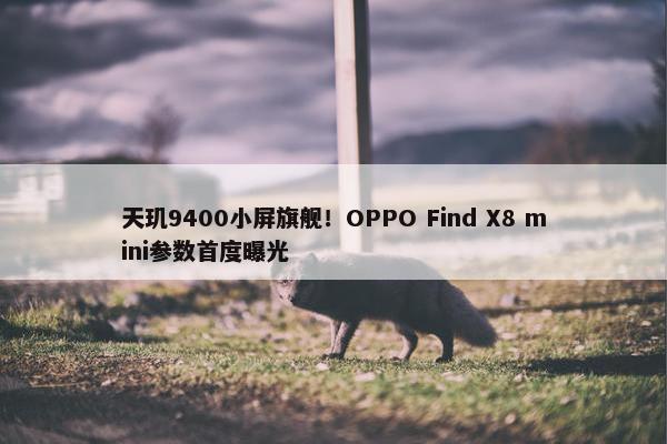 天玑9400小屏旗舰！OPPO Find X8 mini参数首度曝光