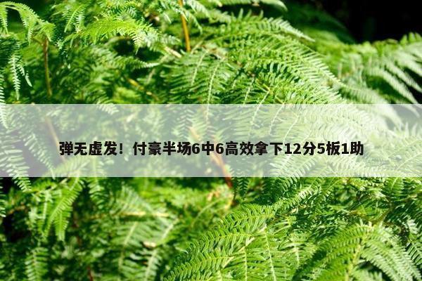 弹无虚发！付豪半场6中6高效拿下12分5板1助