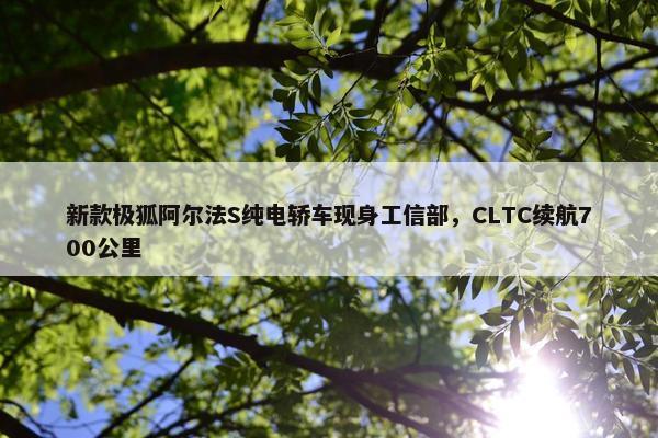 新款极狐阿尔法S纯电轿车现身工信部，CLTC续航700公里