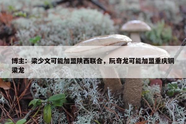 博主：梁少文可能加盟陕西联合，阮奇龙可能加盟重庆铜梁龙