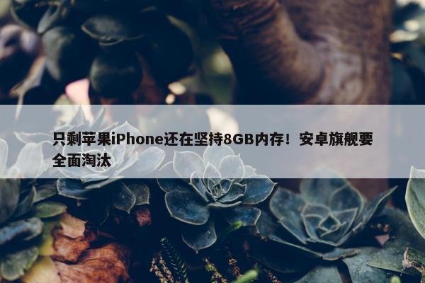 只剩苹果iPhone还在坚持8GB内存！安卓旗舰要全面淘汰