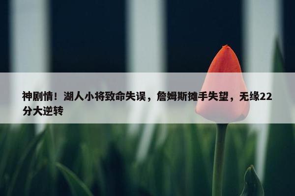 神剧情！湖人小将致命失误，詹姆斯摊手失望，无缘22分大逆转