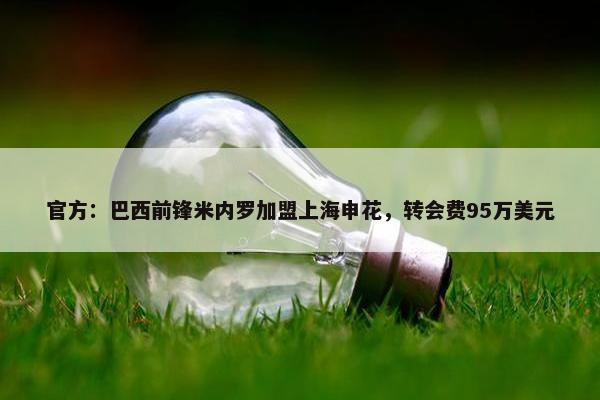 官方：巴西前锋米内罗加盟上海申花，转会费95万美元