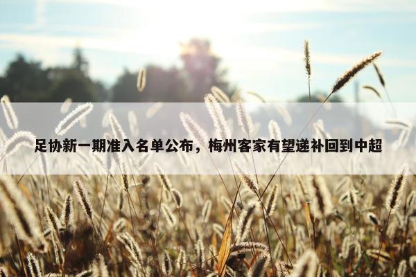 足协新一期准入名单公布，梅州客家有望递补回到中超