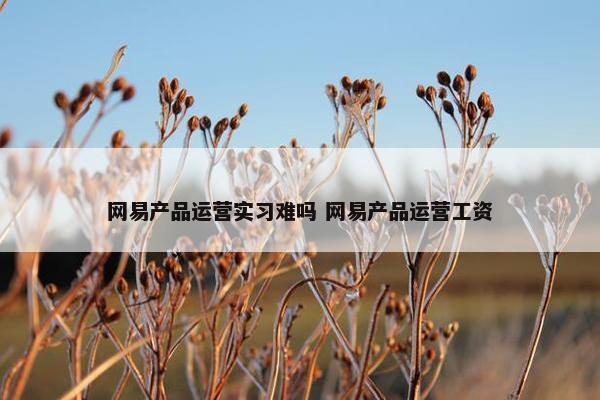 网易产品运营实习难吗 网易产品运营工资