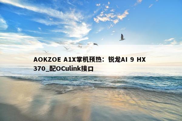 AOKZOE A1X掌机预热：锐龙AI 9 HX 370_配OCulink接口