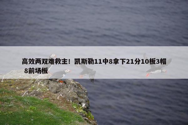 高效两双难救主！凯斯勒11中8拿下21分10板3帽 8前场板