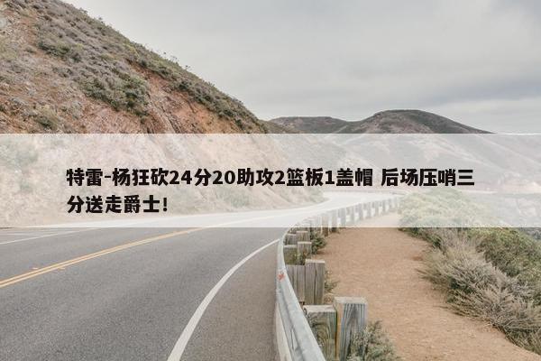 特雷-杨狂砍24分20助攻2篮板1盖帽 后场压哨三分送走爵士！