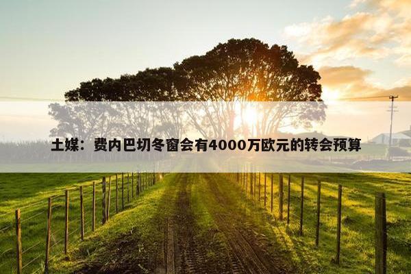 土媒：费内巴切冬窗会有4000万欧元的转会预算