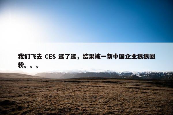 我们飞去 CES 逛了逛，结果被一帮中国企业狠狠圈粉。。。